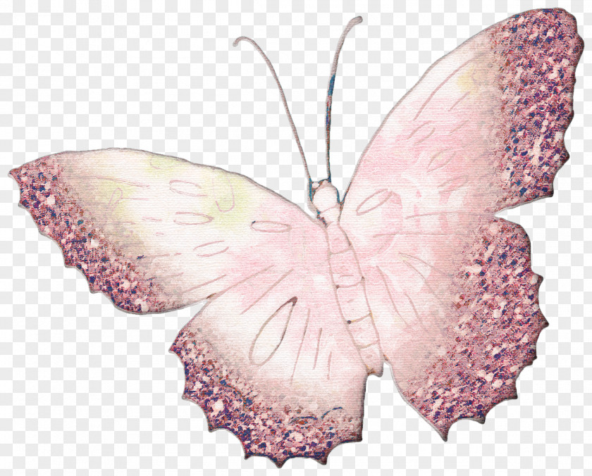 Butterfly Nymphalidae Moth Pink M PNG