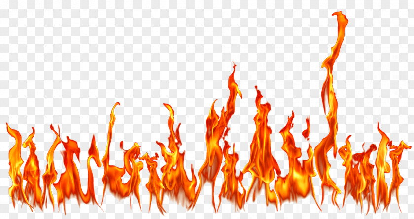 Fire Image Flame Light Combustion PNG