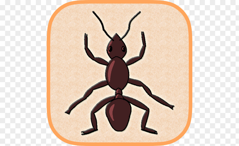 Insect Ant Smasher By Best Cool & Fun Games Pollinator Pest Clip Art PNG