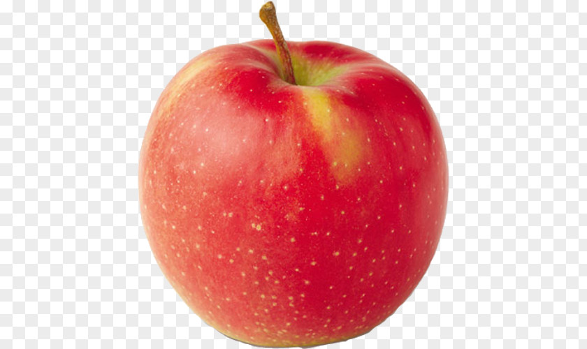Michigan Cherries Varieties Jonagold Apple Orchard Cortland Crisp PNG