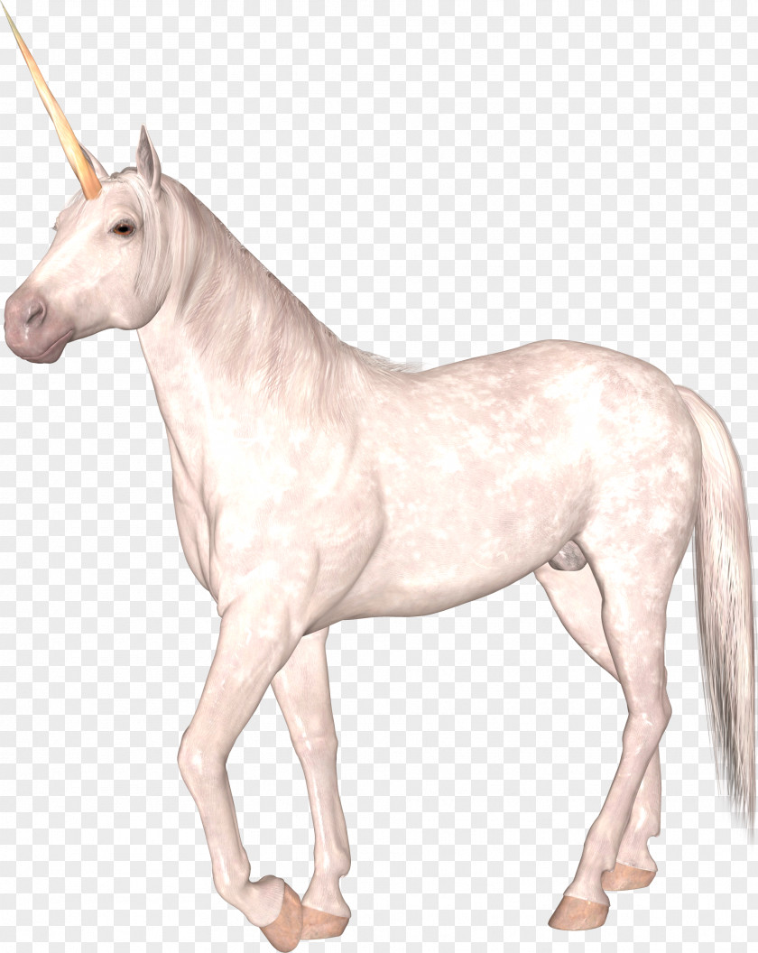 Unicorn PNG