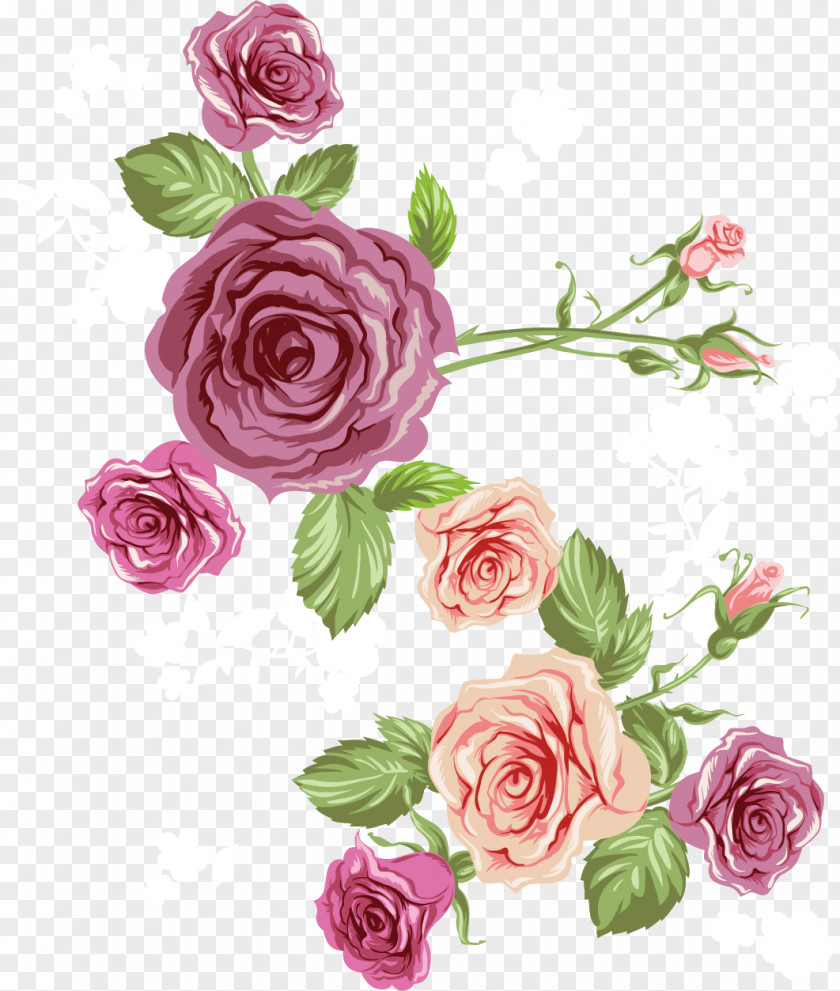 Vector Rose Pink Roses Sea Beach Euclidean Flower PNG