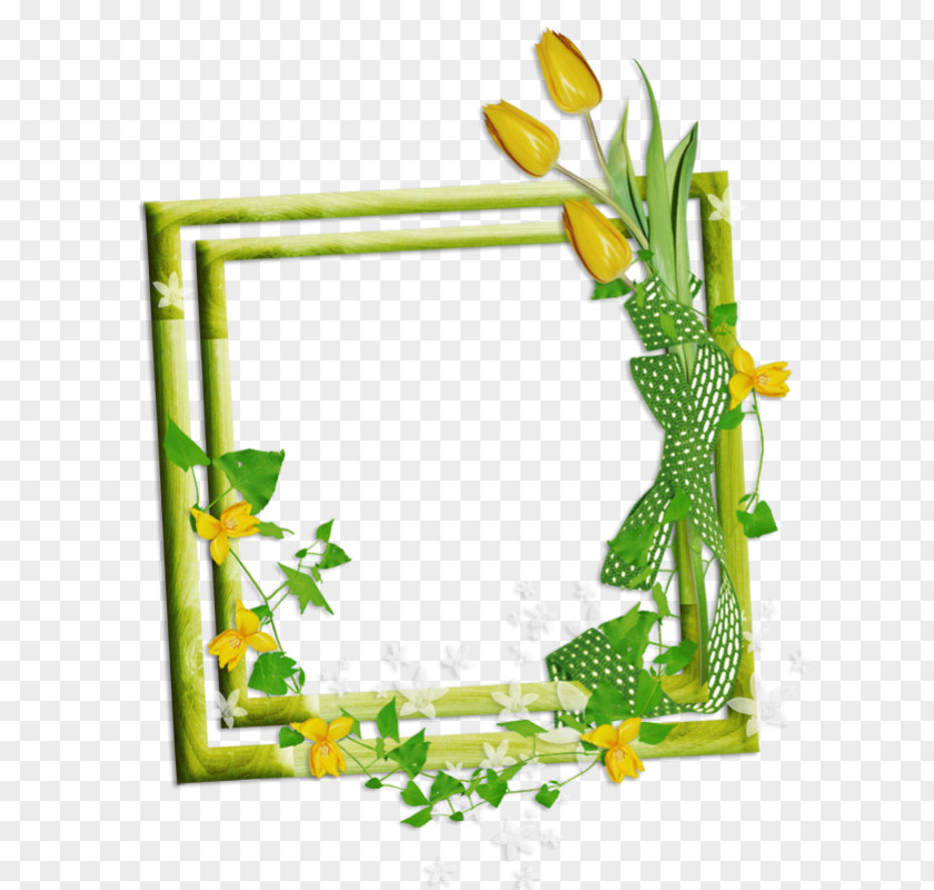 Wildflower Flower Love Background Frame PNG