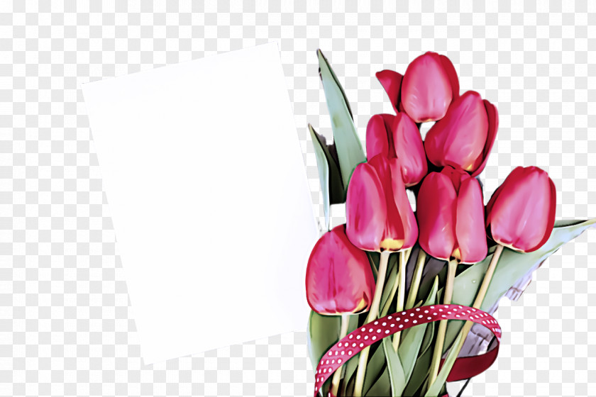 Bouquet Bud Flower Pink Plant Cut Flowers Tulip PNG