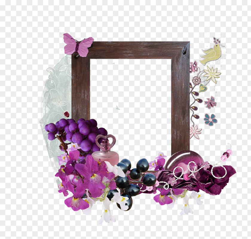 Design Petal Picture Frames Floral Flower PNG