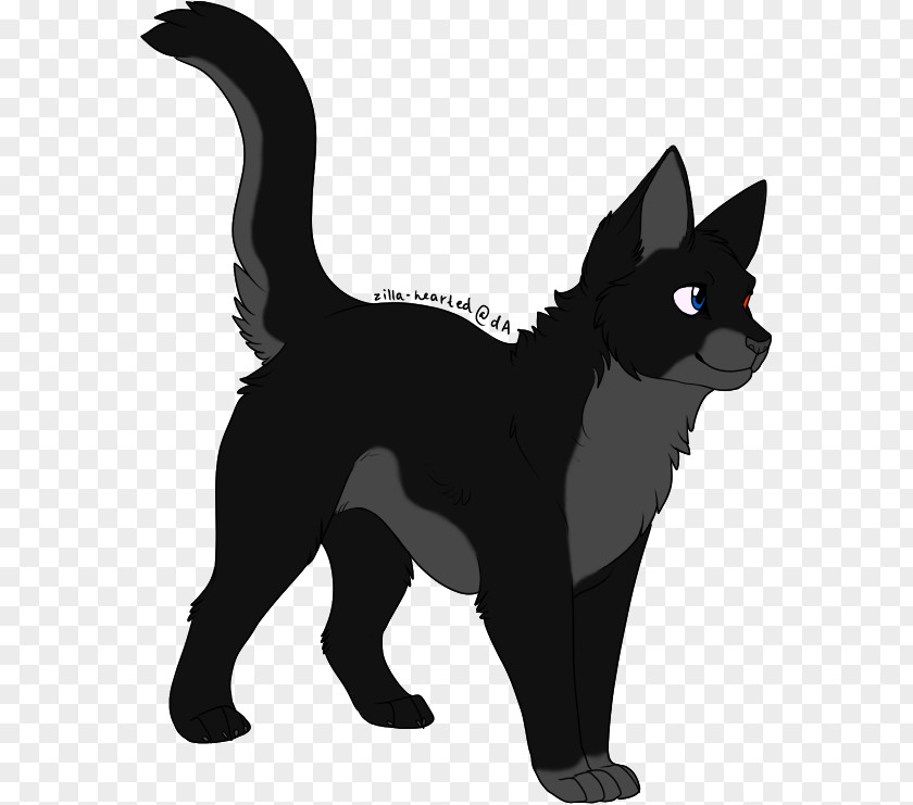 Kitten Whiskers Black Cat Domestic Short-haired PNG