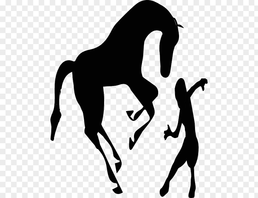 Mustang Clip Art Black Human Behavior Horse Care PNG