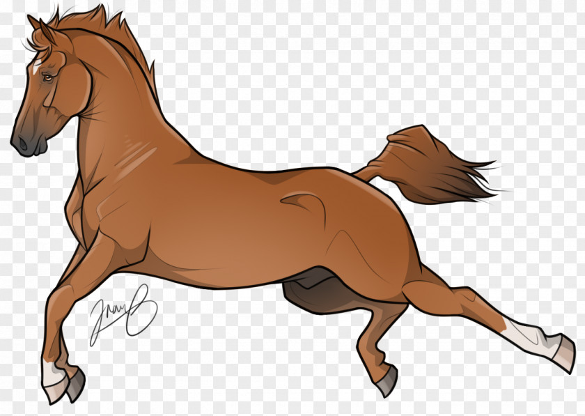 Mustang Foal Mane Pony Stallion PNG