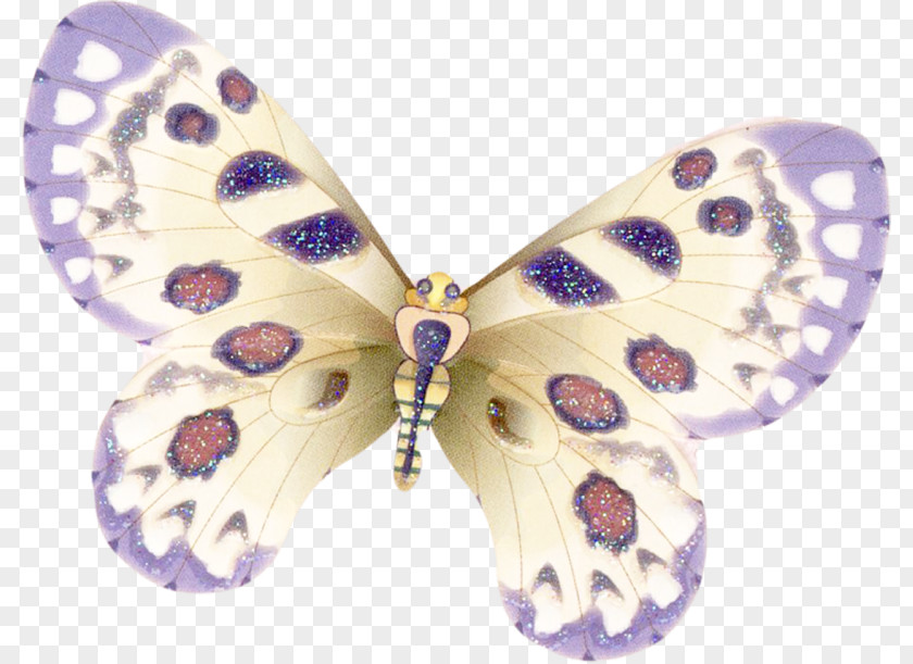 Papillon Butterfly Clip Art PNG