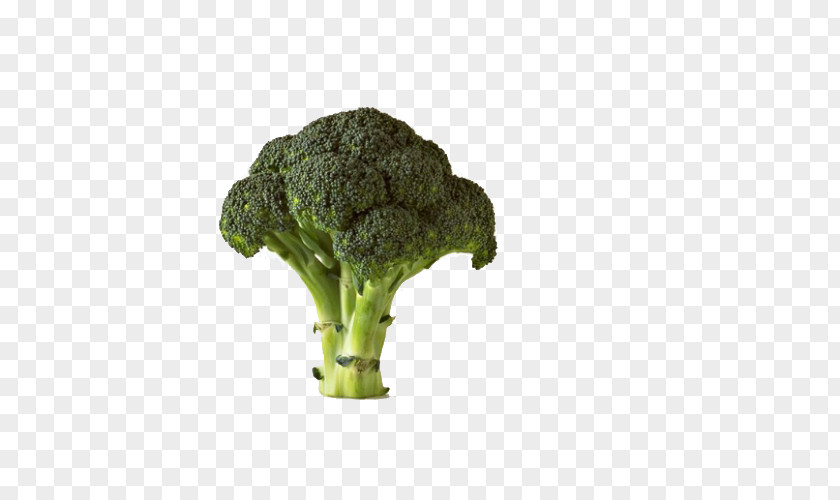 Standing Broccoli Chinese Cauliflower Vegetable Potato PNG