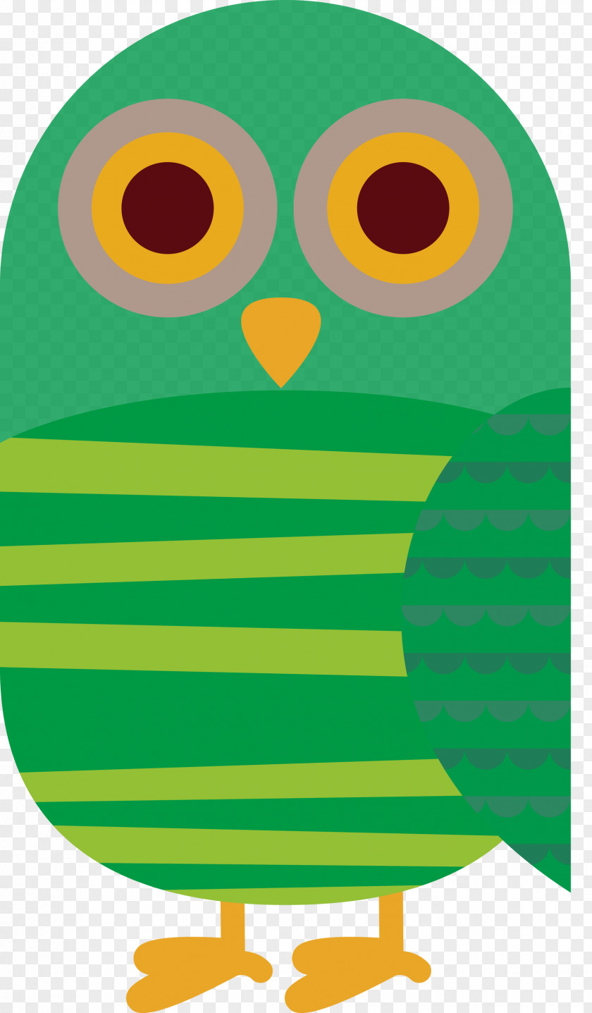 Beak Owl M Cartoon Green Meter PNG