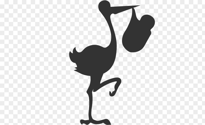 Birth White Stork Yellow-billed Clip Art PNG