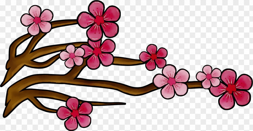 Branch Petal Cherry Blossom PNG