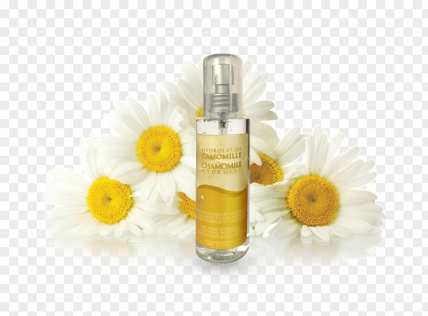 Chamomile German Herbal Distillate Henna Perfume Cosmetics PNG