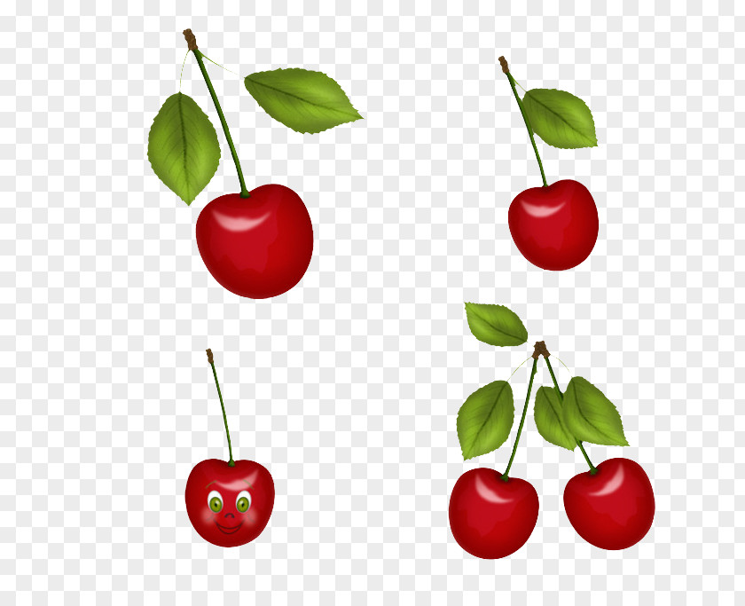 Cherry Jewelry Juice Malpighia Glabra Apple Auglis PNG