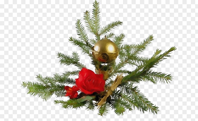 Christmas Tree PNG