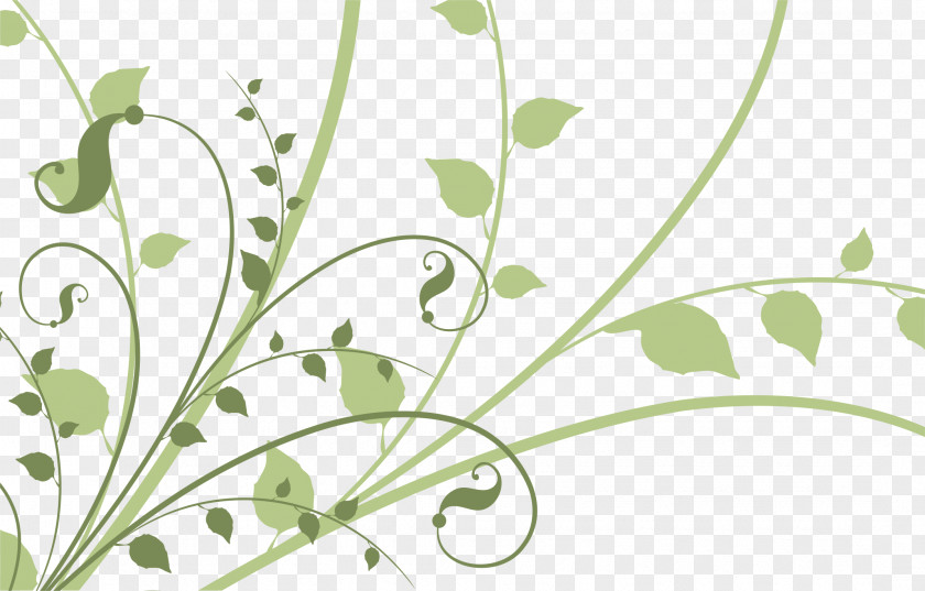 Flowers Pattern Designer Wallpaper PNG