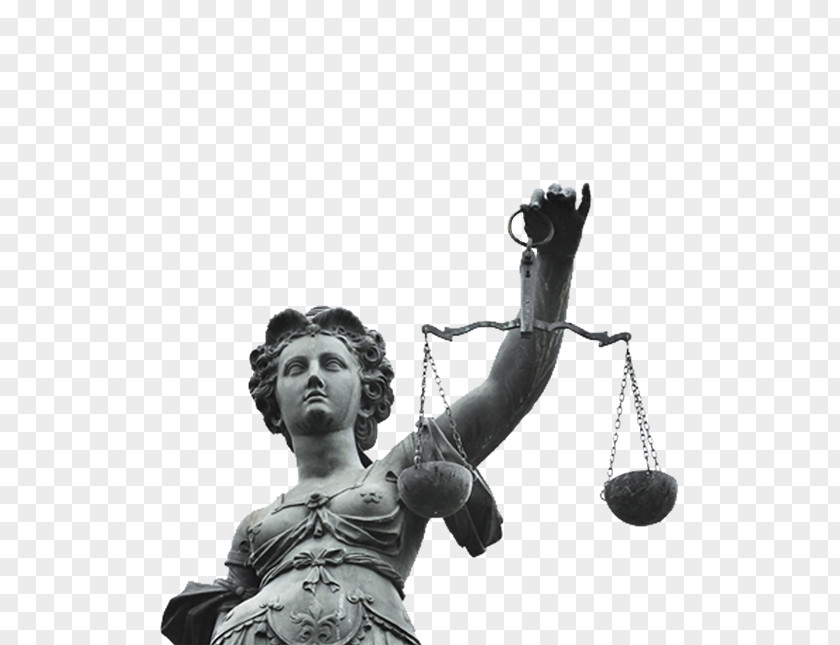 Lawyer Criminal Defense Court Law PNG
