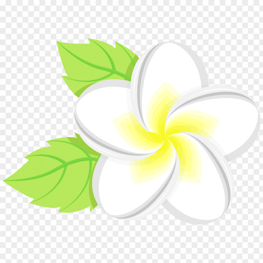 Spa Theme Flower Floral Design Leaf Petal PNG