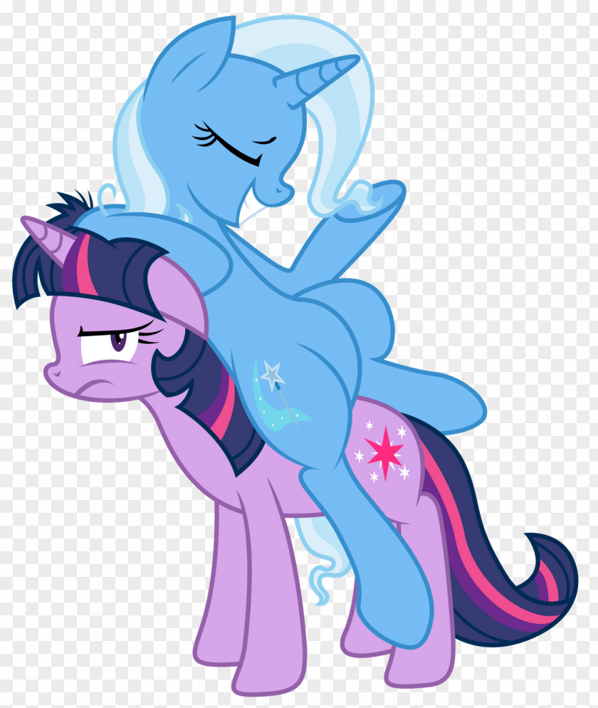 Sparkle Twilight Rarity Rainbow Dash Pony Applejack PNG