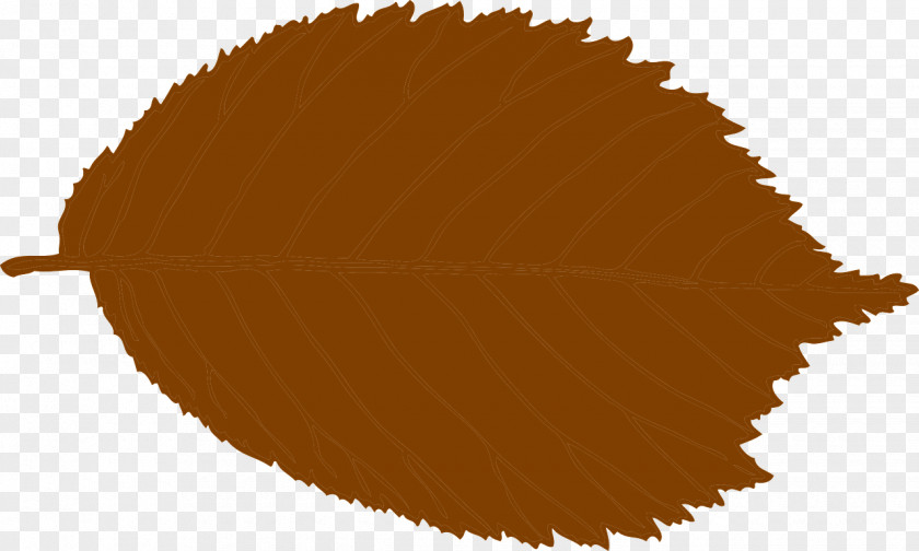 Brown Hazelnut Nuts PNG
