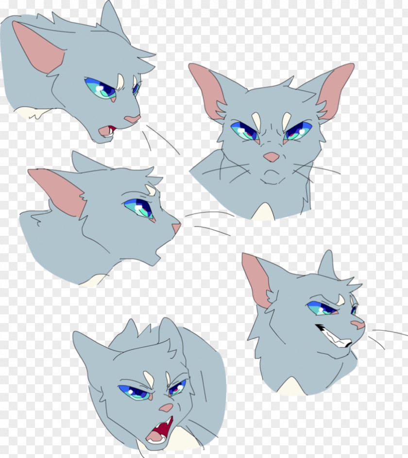 Cat Warriors Art Cloudtail Firestar PNG