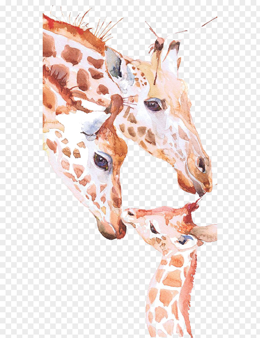 Giraffe Watercolor Painting Drawing Printmaking PNG