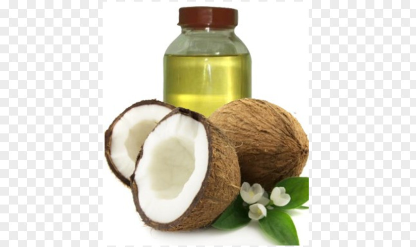 Oil Coconut Abdominal Obesity Abdomen Fat PNG