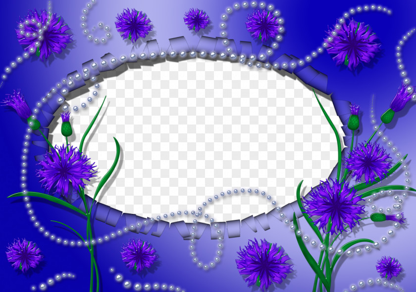 Photoshop Cuadro Frame Violet Photography PNG