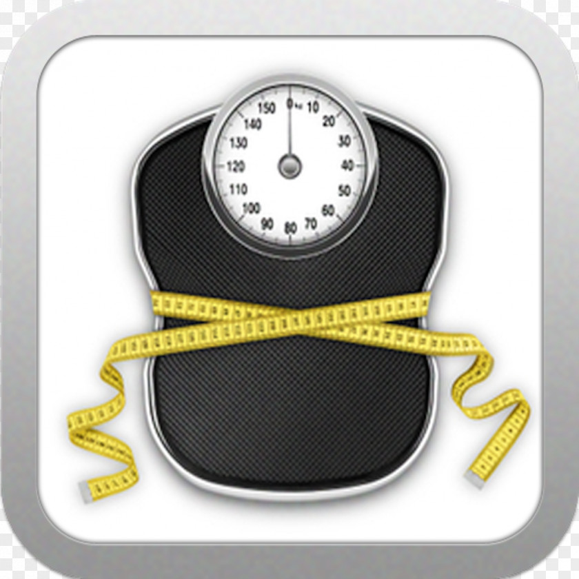 Scale Weight Loss Measuring Scales Management Clip Art PNG