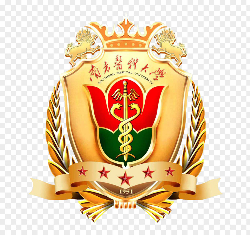 School Southern Medical University Hebei Graduate PNG