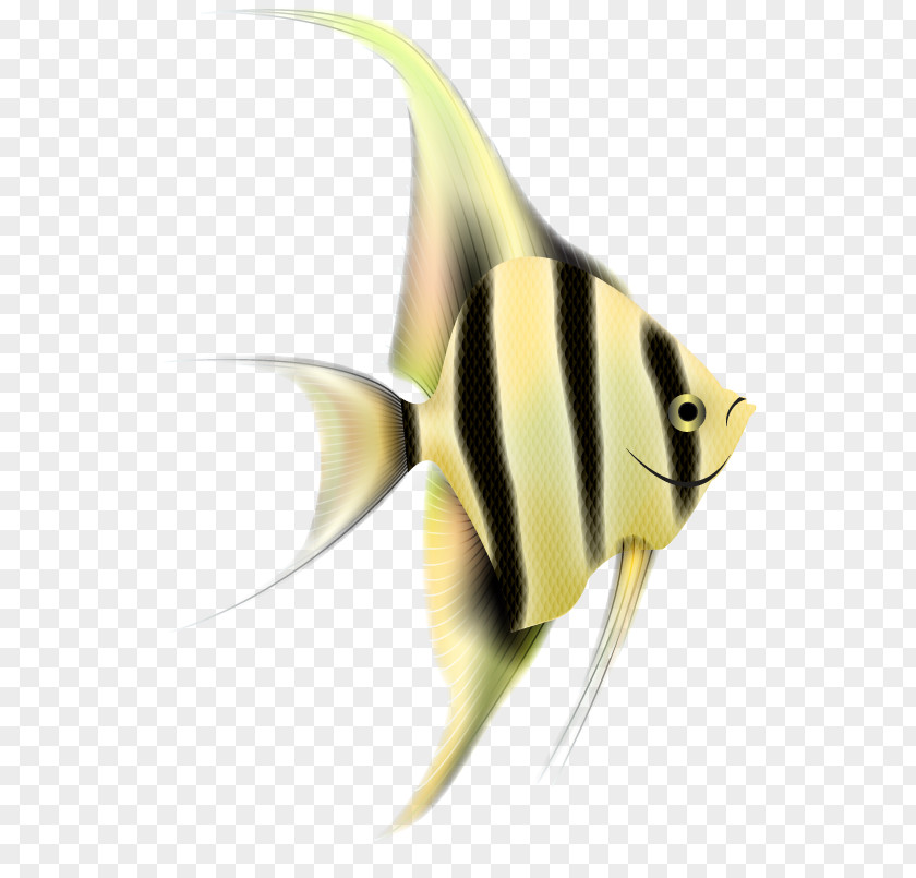 Fish Siamese Fighting Clip Art PNG