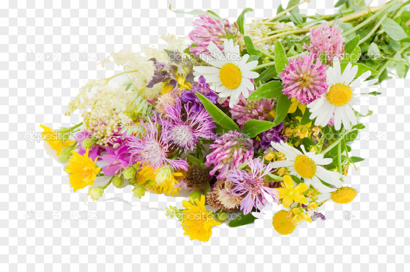 Flower Bouquet Stock Photography Gift PNG