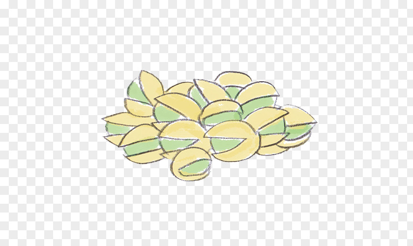 Pistachios Flower Petal Yellow PNG