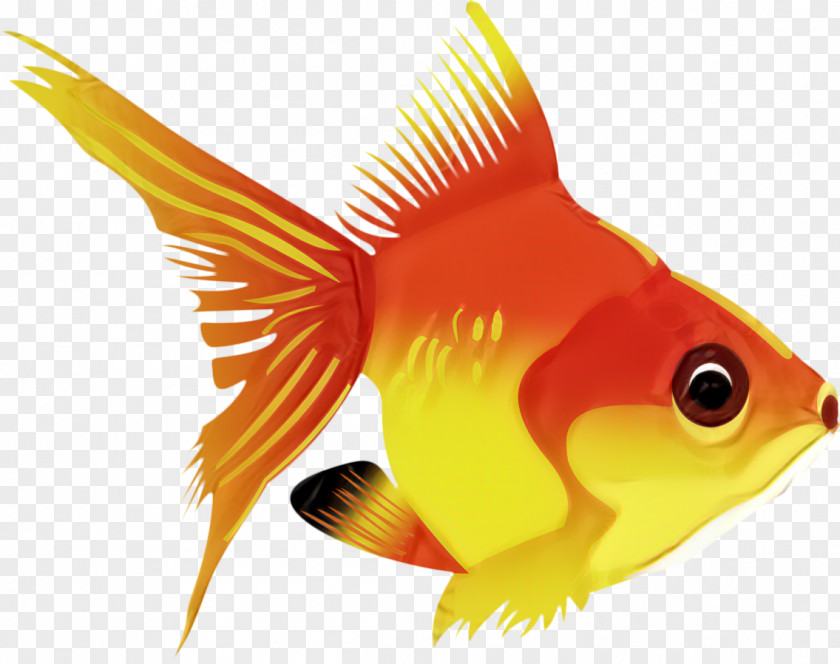 Vector Graphics Goldfish Download PNG