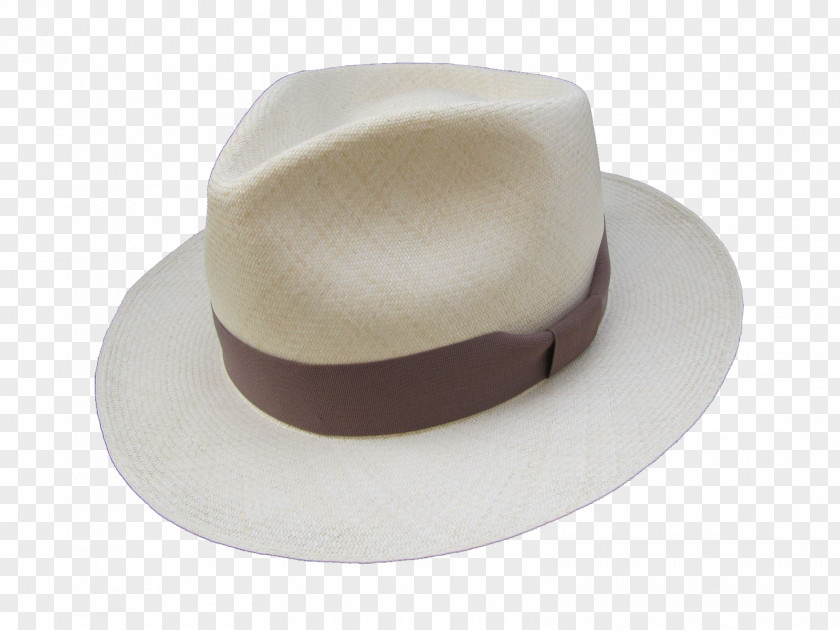 Hat Montecristi, Ecuador Fedora Panama PNG