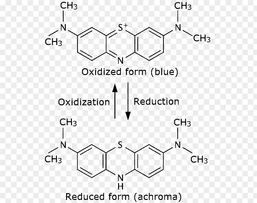 Light Methylene Blue Bottle Experiment Redox Lens PNG