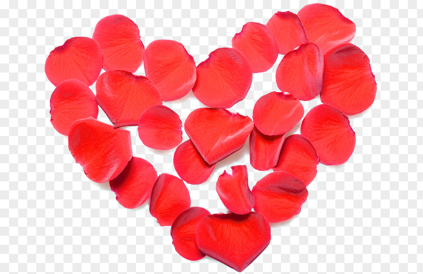 Valentine's Day Love Heart Red Clip Art PNG
