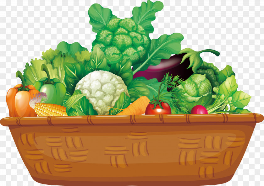 Wooden Basket Of Vegetables Organic Food Vegetable Fruit PNG