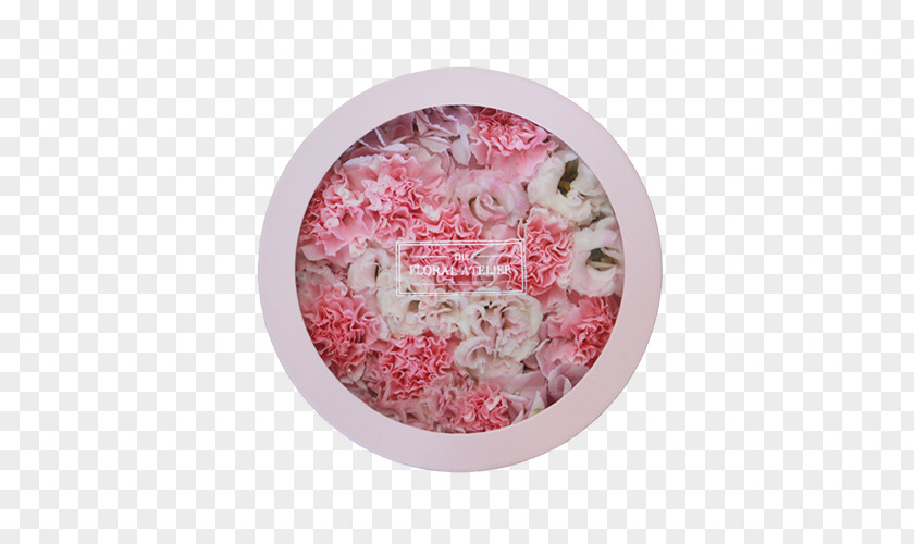 Blush Floral Pink M PNG