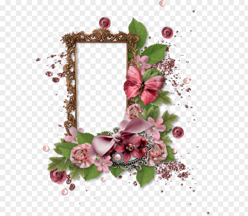Butterfly Frame Flower Photography Picture Frames Clip Art PNG
