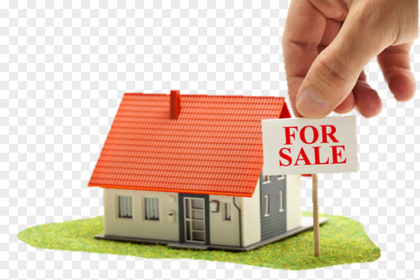 House Hayatabad Real Estate Sales Building PNG