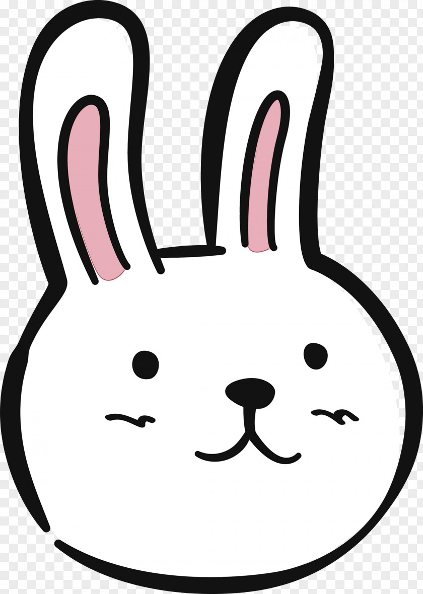 Line Art Snout Whiskers Face PNG
