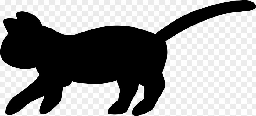 Cat Blackandwhite Tail Black Snout Animal Figure Black-and-white PNG