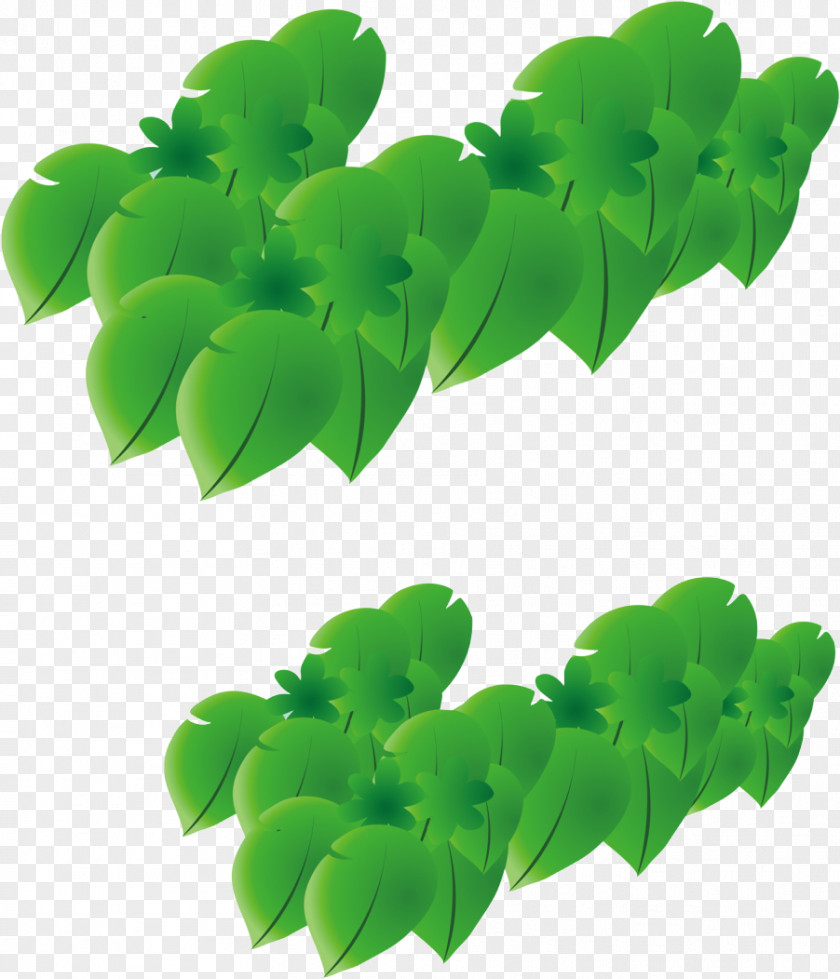 Into Leaves Leaf Cartoon PNG