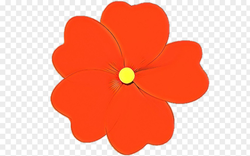 Orange PNG