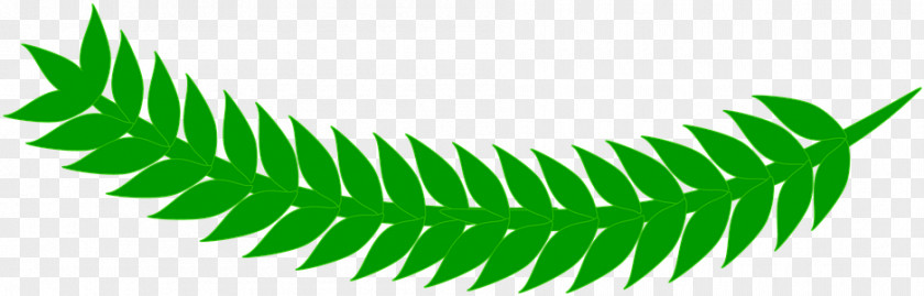 Ostrich Fern Green Leaf Logo PNG