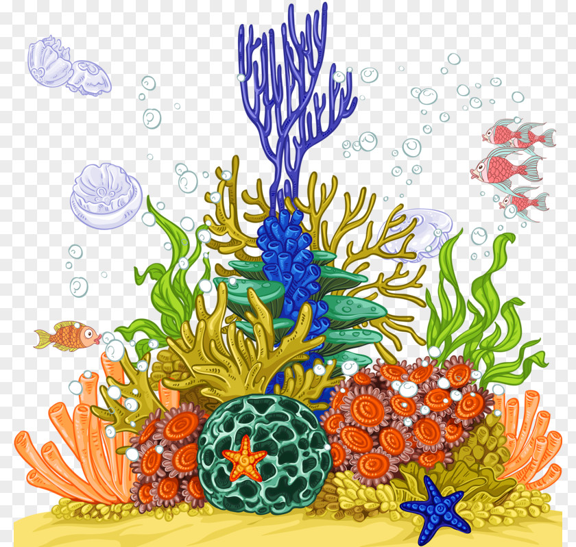 Sea Jellyfish Coral Reef Anemone PNG