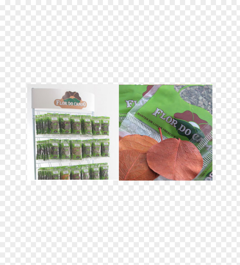 Tea Vegetarian Cuisine Hibiscus Matcha Green PNG
