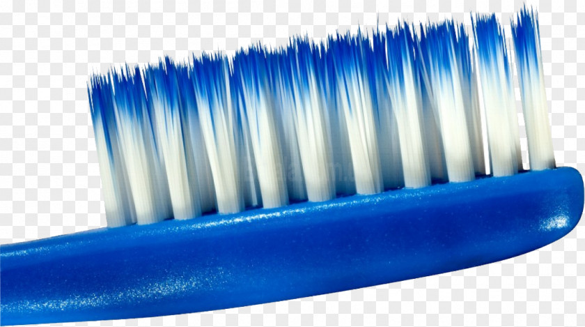 Toothbrash Image Toothbrush Bristle PNG